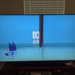 Damaged 4k Tv 65”