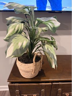 Artificial Plant
