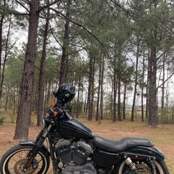 2009 Harley Davidson sportster xl1200 nightster edition
