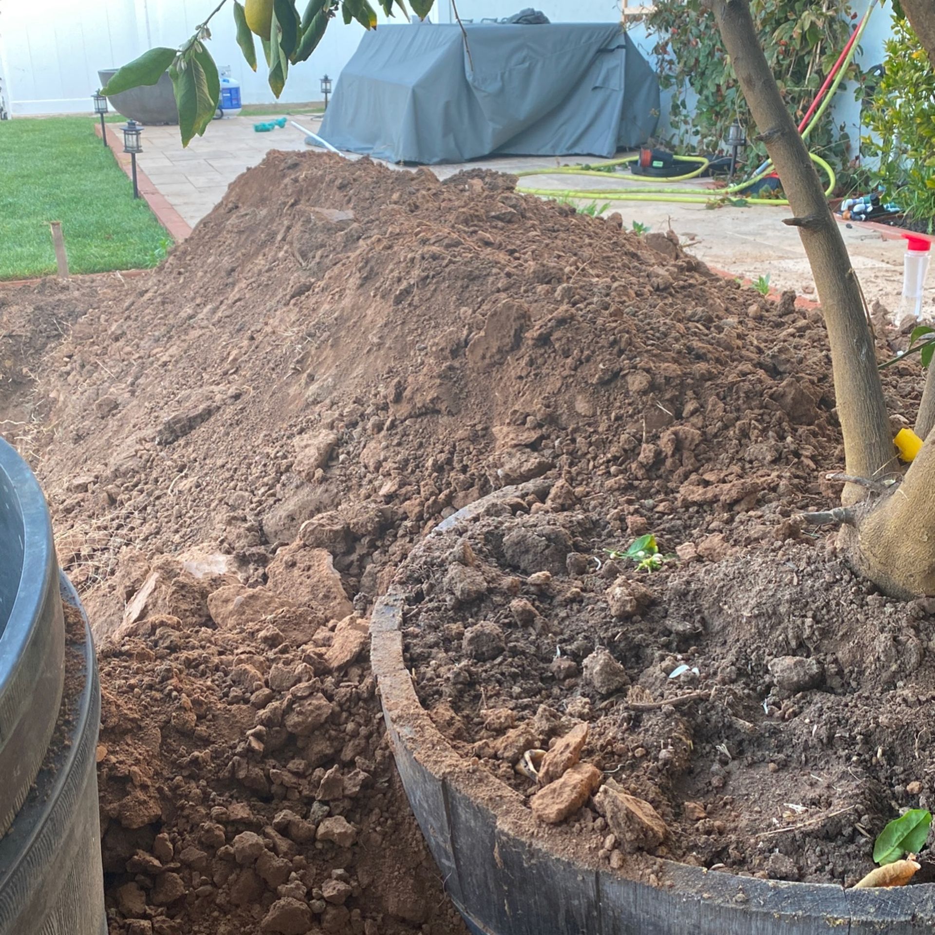 Free Soil