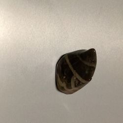 Polychrome Jasper 