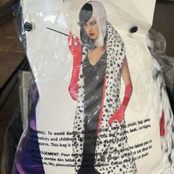 Halloween Costume 