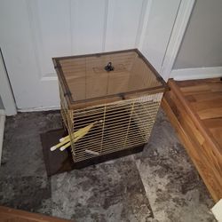 Bird Cage 