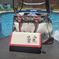 Mickey & Minni Leather Purse & Clutch