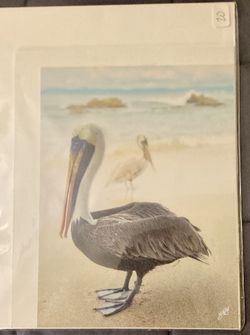 Original Local Artwork - Photo