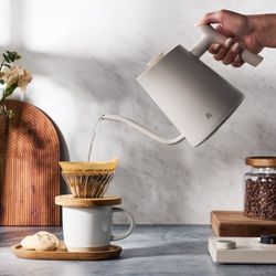 Electric Gooseneck Kettle (Birch White) 