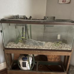 50 Gallon Aquarium W/Stand & Filter system
