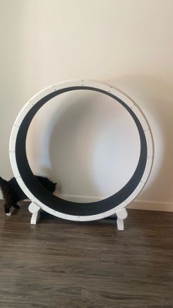 One Fast Cat Cat Exercise Wheel