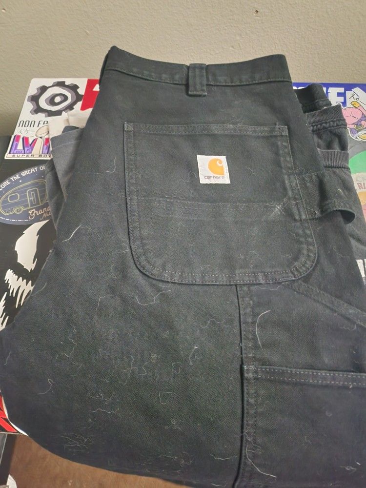 Cathartic Pants