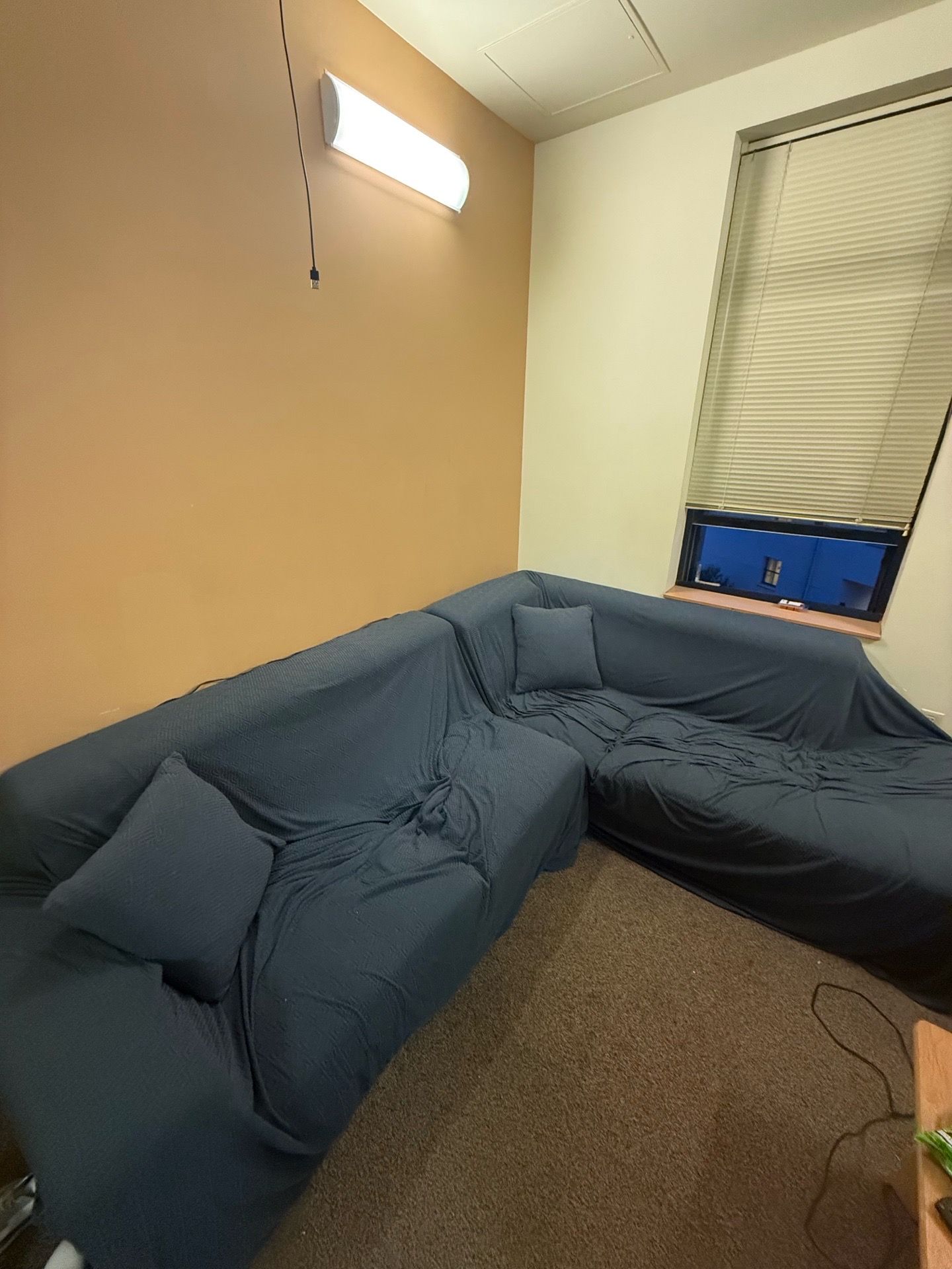 L-Shaped Couch