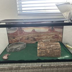 Reptile Tank