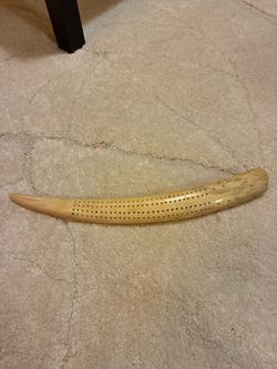 Scrimshaw walrus tusk