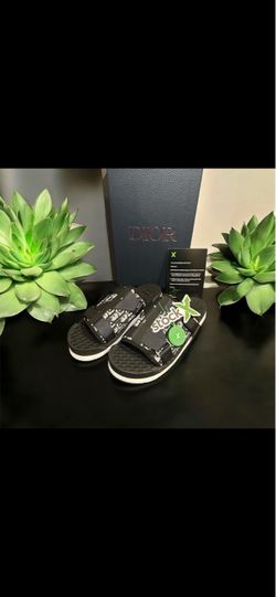 Dior Alpha slides