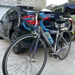 Trek 1000 Road Bike