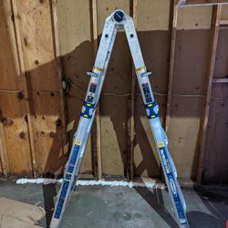 Werner Multi Position Pro Ladder 