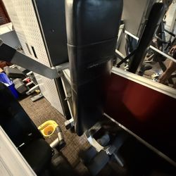 Nautilus Decline Flat Bench Commercial 