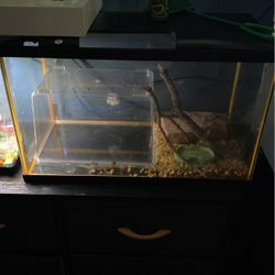 Reptile/fish Tank 