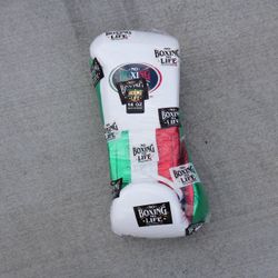 No Boxing No Life Gloves 14oz Mexico Color