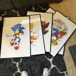 Set of 6 20x30 Framed Sonic Prints 