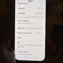 iPhone 16 Pro Max 256 Gb Unlocked 10 Out Of 10 Condition 