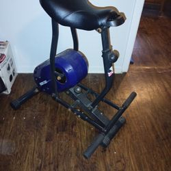 Rodeo Core Exercise Machine