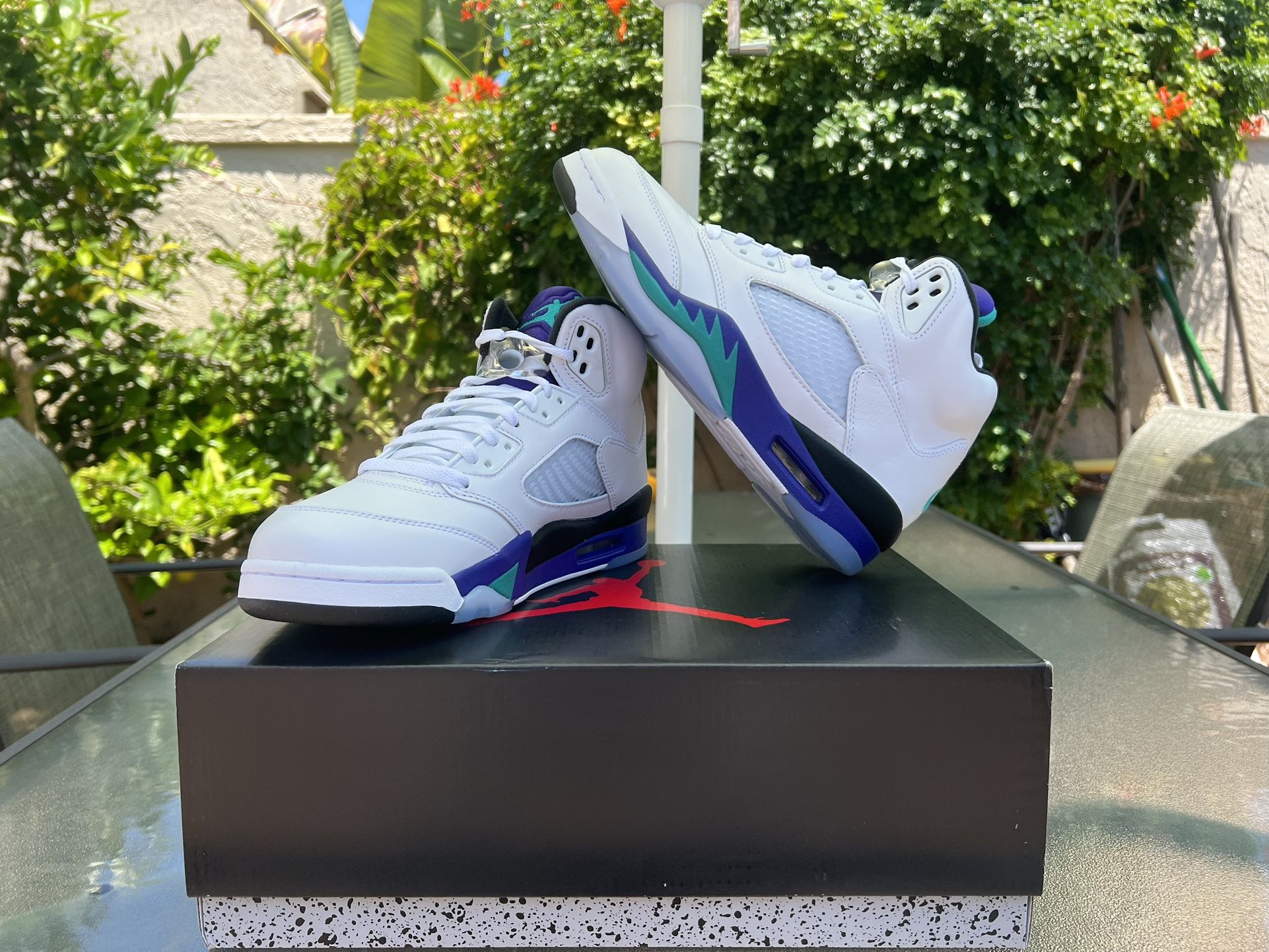 Nike Air Jordan 5 Grape