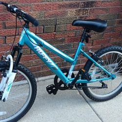 20" Bike, Good Condition 
