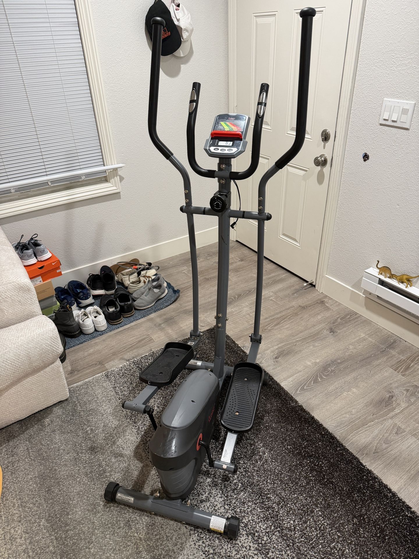 3 Months Old Sunny Cross Trainer -$150 Compared To Amazon