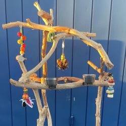 Big Thick And Gorgeous Macaw / Cockatoo Perch Tree … Lots Of Chewing And Wing Flappin … 👍🏼👍🏼