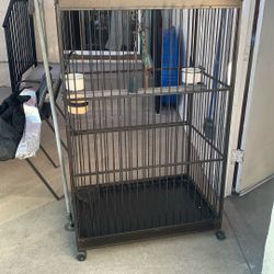 Bird Cage
