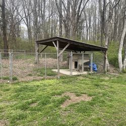 Dog Pen Great Shape B/O $$$