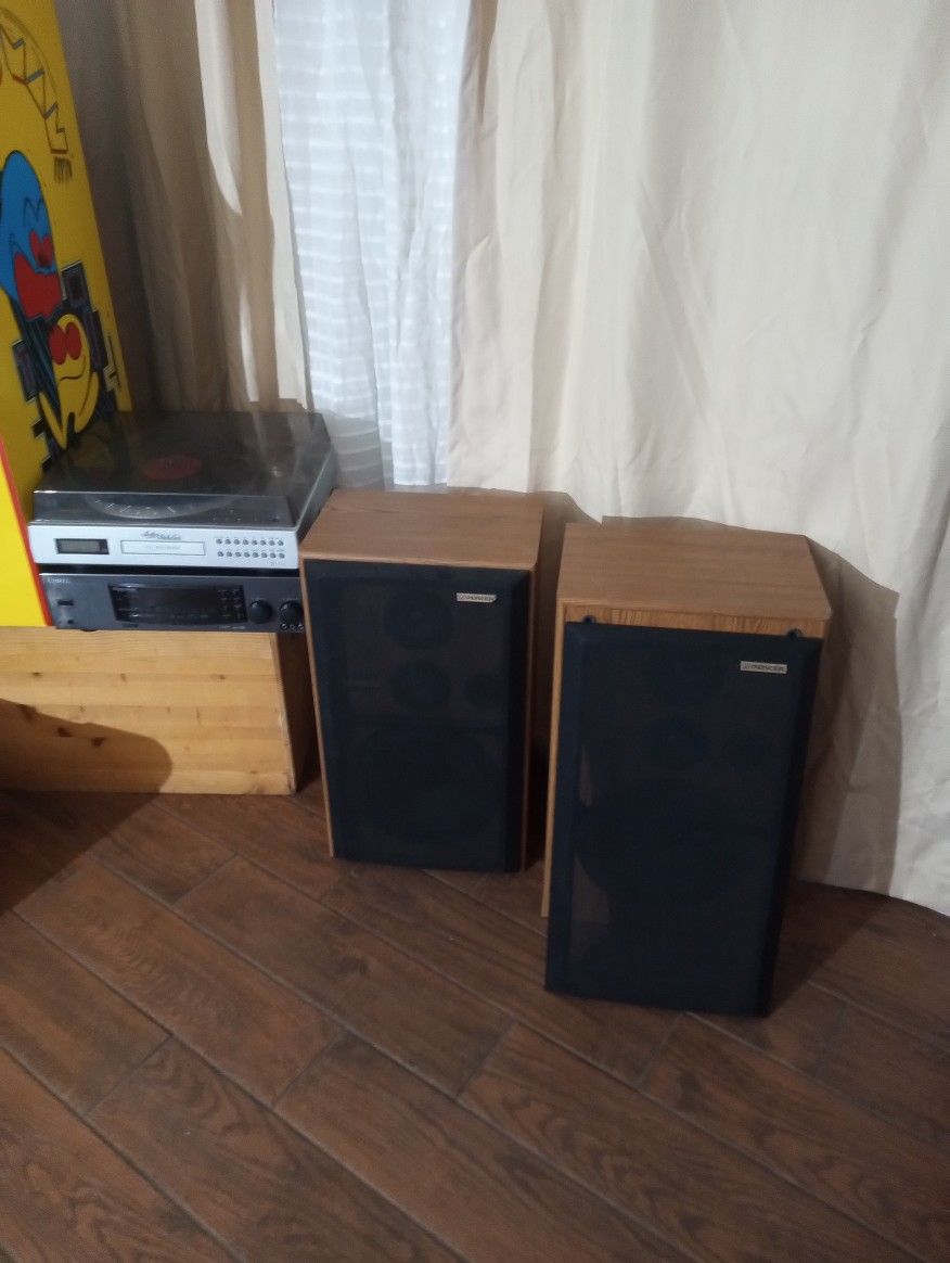 Vintage Pioneer Speakers CS-G204