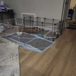 Doggie Playpen