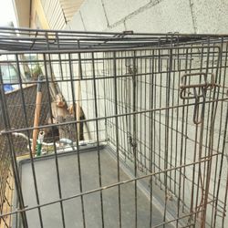Large Dog Crate