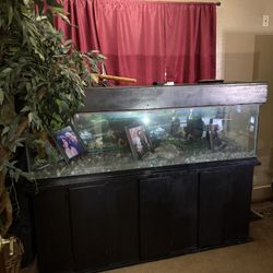 100 gallon fish tank