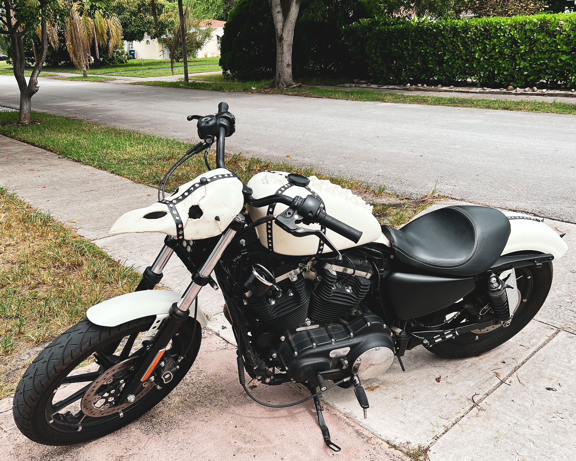 2018 Harley Davidson Iron 883