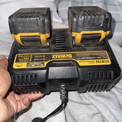 Dewalt dual charger