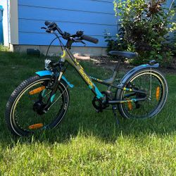 S’Cool 20 Bike - Grey
