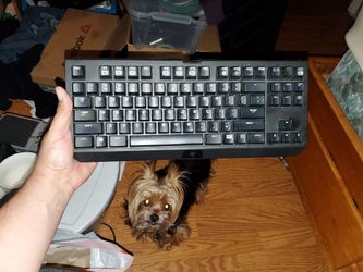 Razer Blackwidow Tournament Edition