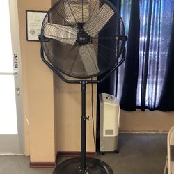 LARGE FAN 