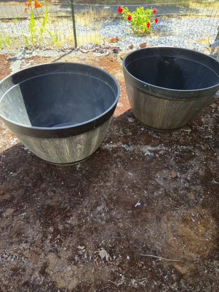 Plant Pots