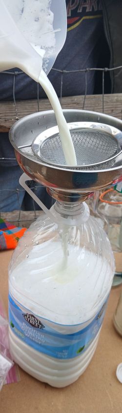 Leche de chiva