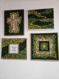 Moss Art Wall