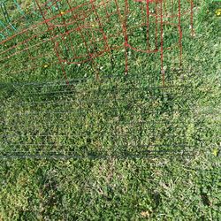 Plant support cages and stakes