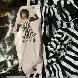 Harlequin Costume