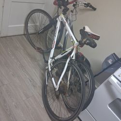 Bicycle 