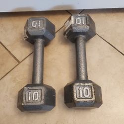 10 Lbs Dumbbells 