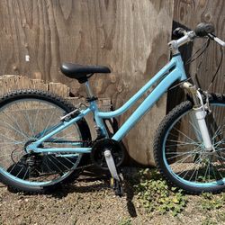 Womens Schwinn Mountain Bike
