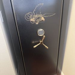 American Eagle Safe 