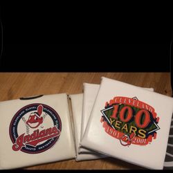 Indians Stadium Cushions